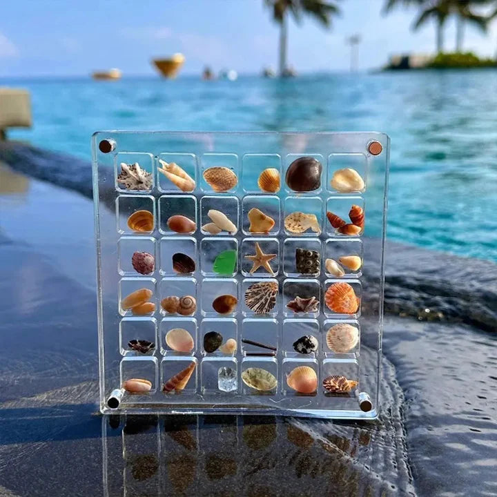 ShellBox Pro™ | Shells Display Case (1+1 FREE)