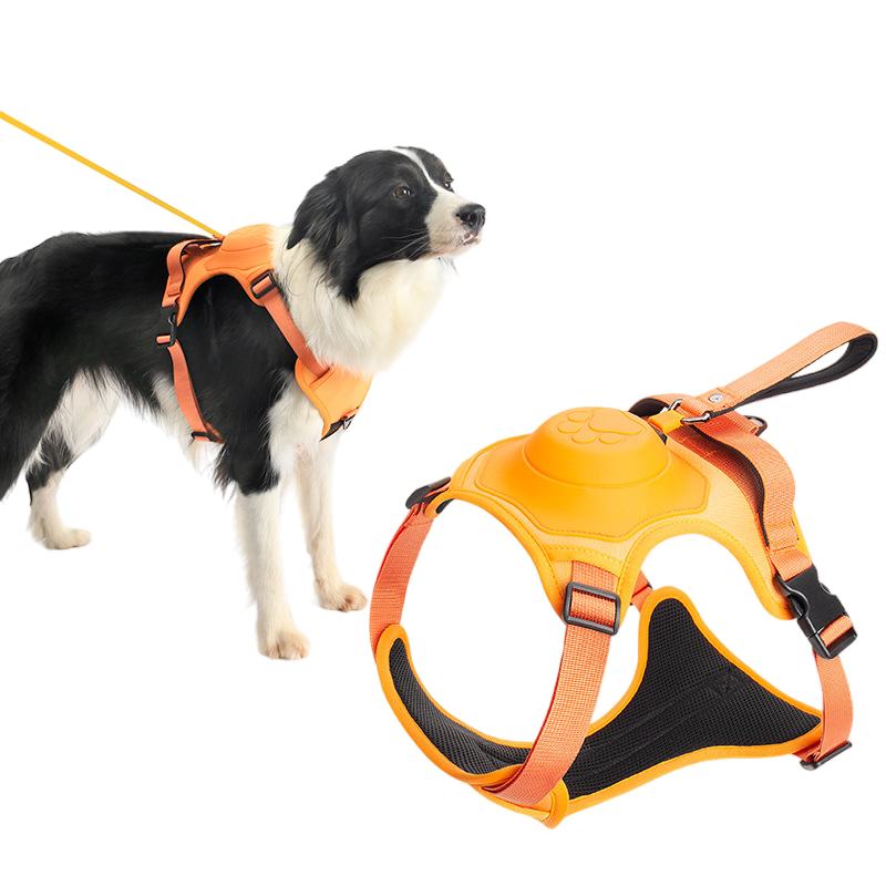 ComfyPaws™ | Harness & Leash