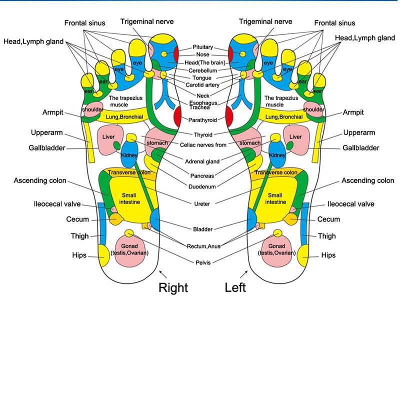 BodyFlow™ | Boost your well-being